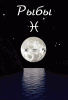 moon07.gif