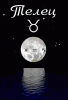 moon10.gif