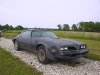 pontiac-firebird_trans_am_78.jpg